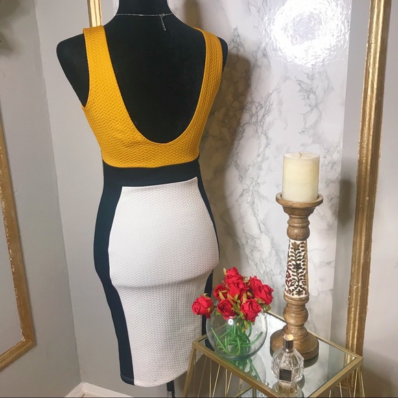 Colorblock Bodycon Dress - Picture 5 of 6